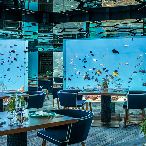 水中レストランイメージ3
