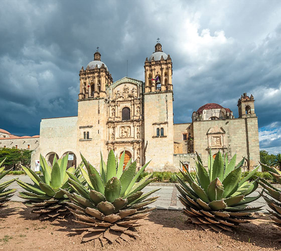 死者の日をより一層楽しめるツアーのポイント1