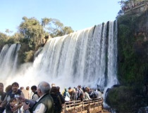 イグアスの滝を鑑賞する