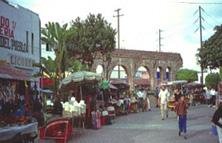 人気No.1 国境をまたごう!サンディエゴ・ティファナ観光